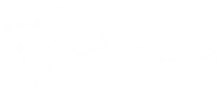 Logoen til Nord-Norsk Dronetjeneste AS - ditt første valg for dronetjenester i Nord-Norge.