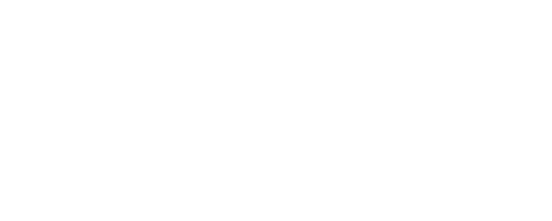 Logoen til Nord-Norsk Dronetjeneste AS - ditt første valg for dronetjenester i Nord-Norge.